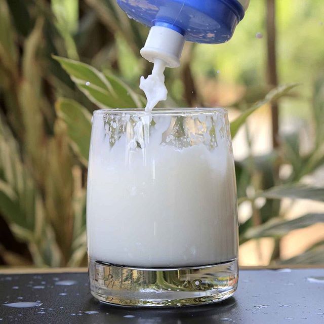 Instagram Image